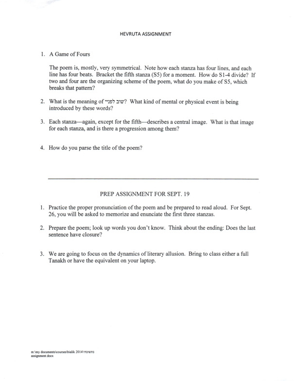 mintz_assignment_bialik.pdf