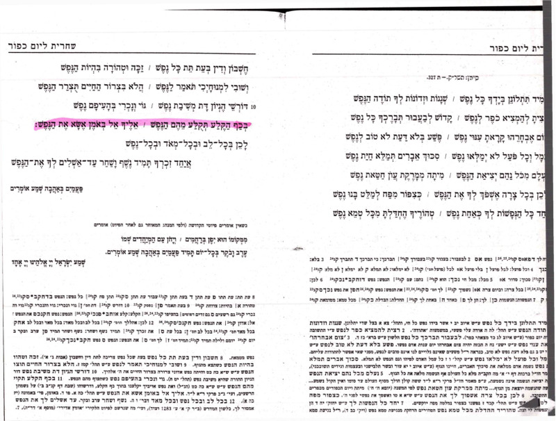 talmud-and-liturgy-materials.pdf