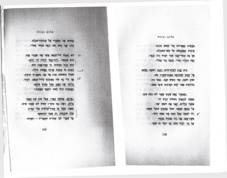 feinstein-moshe_khalom-vegoral.pdf