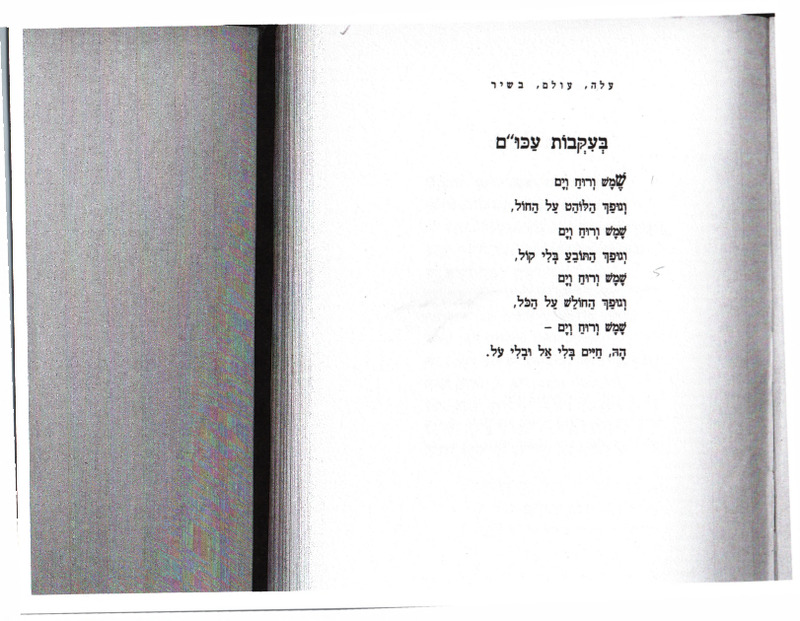 silberschlag-eisig_be'ikvot-'akum.pdf