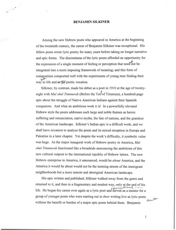 mintz_article-notes_benjamin-silkiner.pdf