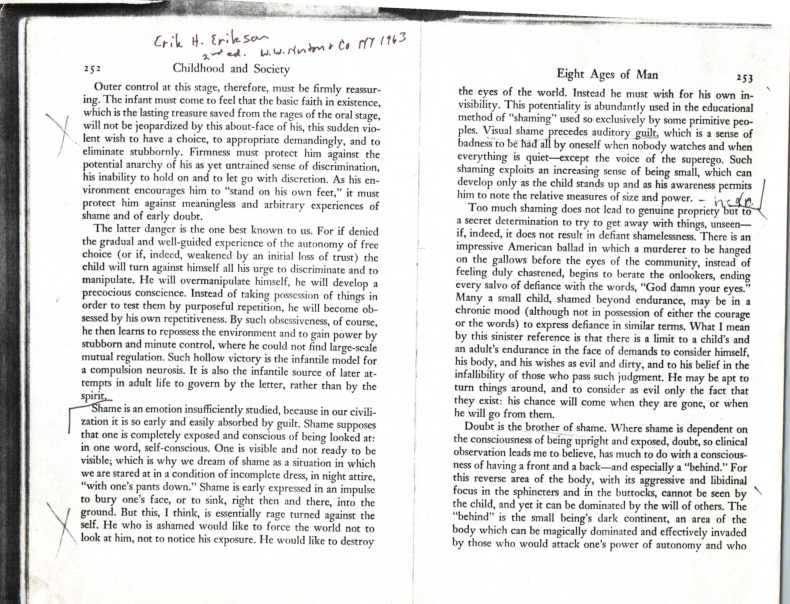 erikson_eight-ages-of-man.pdf