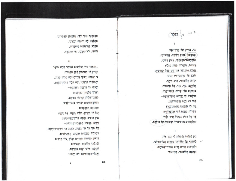 bavli-hillel_poems.pdf