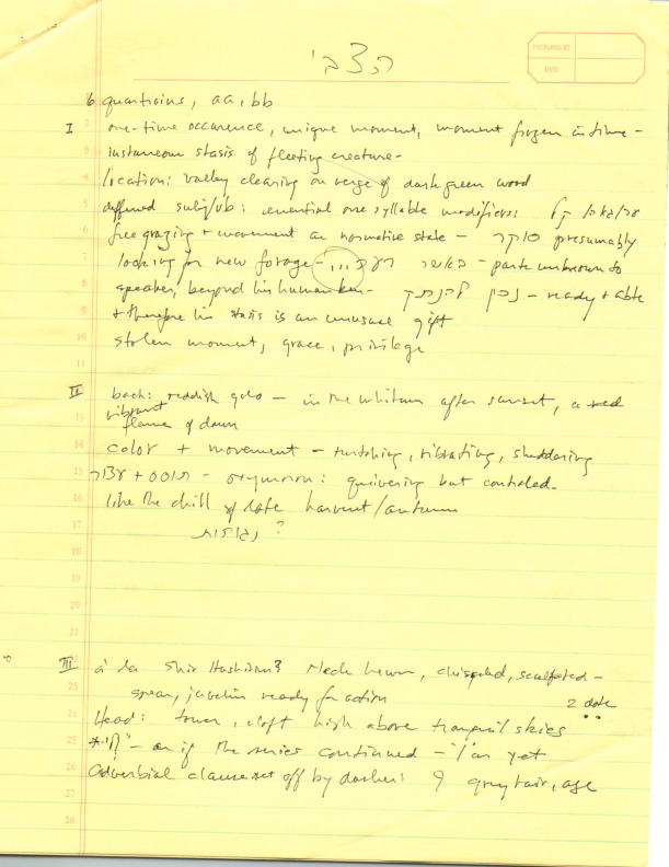 mintz_notes_hatsvi.pdf