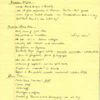mintz_notes_tarbut-ivirit-research-agenda.pdf