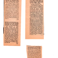 Haiblum - In Brief Various Reviews.pdf