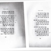 feinstein-moshe_khalom-vegoral.pdf