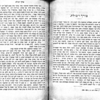 tsorekh-veyekholet.pdf