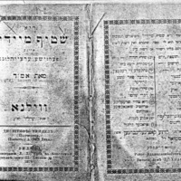 שטיף מײדיל