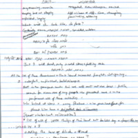 mintz_notes_preil-bavli.pdf