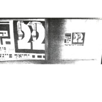 צװײאונצװאַנציק : לידער (נאָר דער אַרײַנפֿיר)