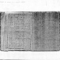 דיא דרײַא לאַנגע װינטערנעכט