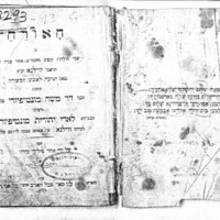 האורח