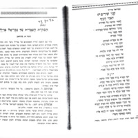 martan-avraham_bikoret-haivrit-al-preil.pdf
