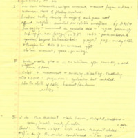 mintz_notes_hatsvi.pdf