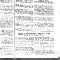 natsyonale-radikale_in-folks-shuln.pdf